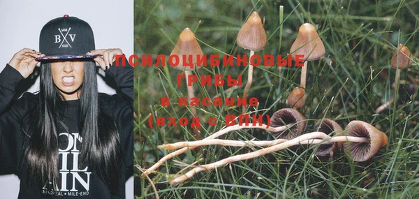 амф Лабытнанги