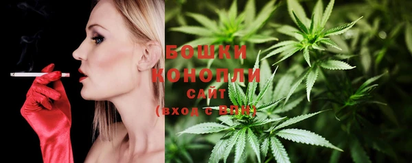 метадон Лагань