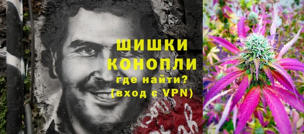 метадон Лагань