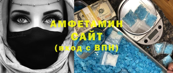 крисы Тайга