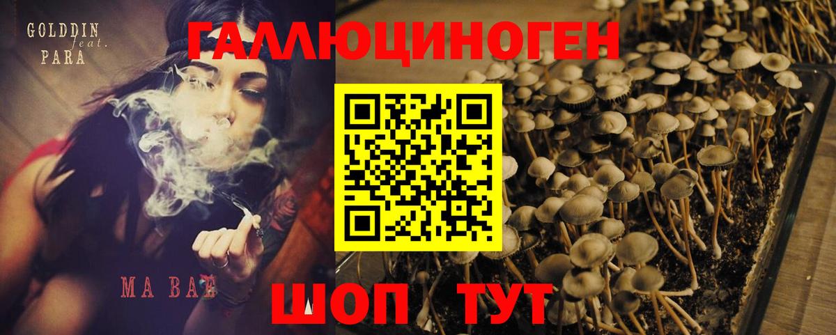 Галлюциногенные грибы ЛСД Тулун