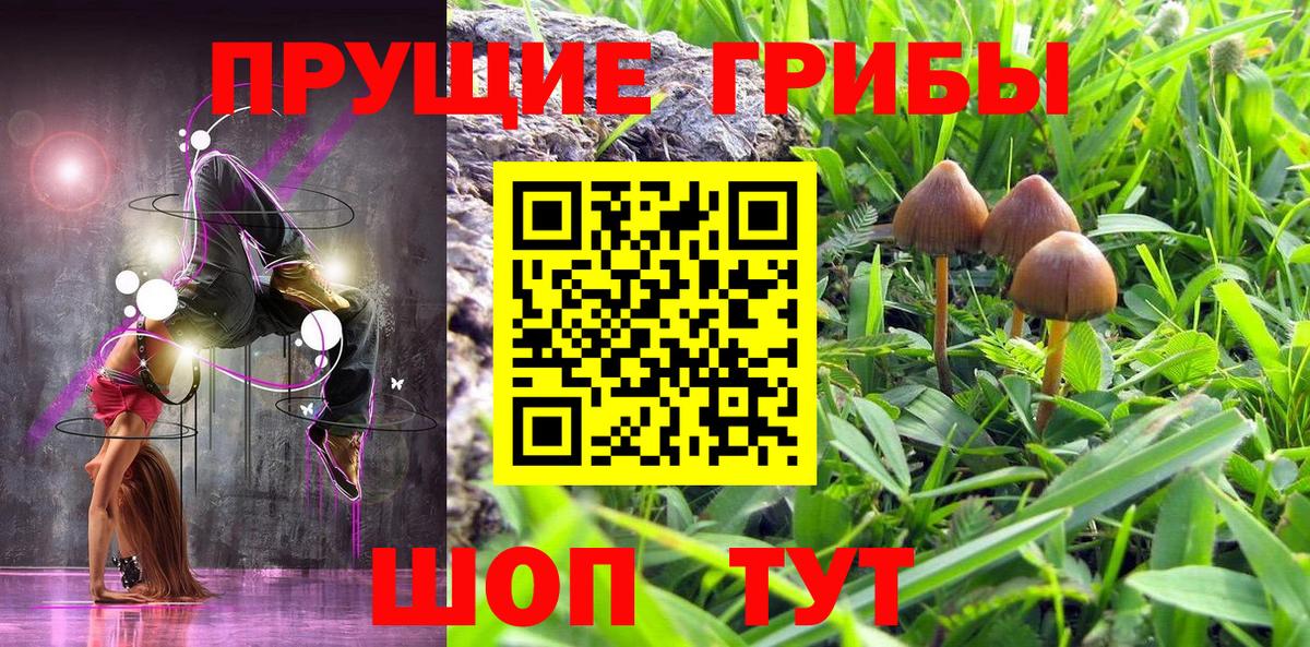 Псилоцибиновые грибы прущие грибы Тулун