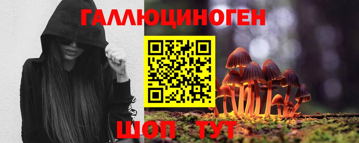 Галлюциногенные грибы прущие грибы  Вход с VPN  где купить наркоту  Тулун 
