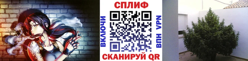 Бошки Шишки White Widow  Тулун 