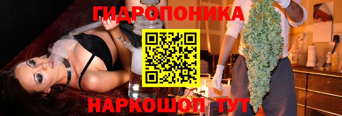 Бошки марихуана сатива  МАРИХУАНА White Widow  Канабис гибрид  Вход с VPN  Тулун 